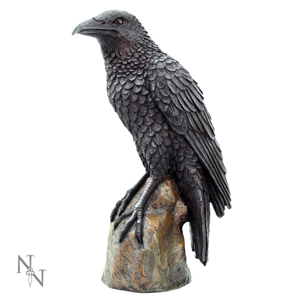 Nemesis Now - Ravens Rest Dekorative Figur - Schwarz